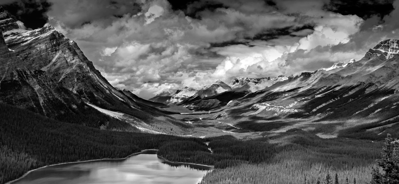 VikPhotography.com